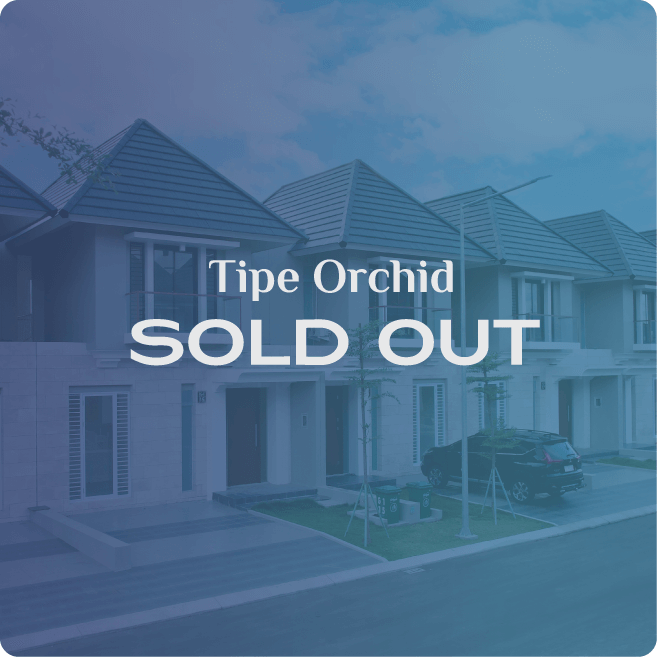 Tipe Orchid Sold Out